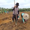 Wujud Nyata Komitmen Polri, Polsek Tayan Hilir Tanam Jagung Hibrida di Lahan Demplot Ketahanan Pangan