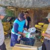 Polsek Sekayam Tanam Jagung di Lahan Demplot II, Wujud Nyata Dukungan terhadap Swasembada Pangan Nasional
