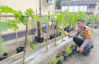 Polsek Parindu Dorong Ketahanan Pangan Bergizi Lewat Program Pekarangan Sehat