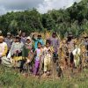 Panen Jagung Program Pemanfaatan Lahan Produktif di Toba: Wujud Sinergi untuk Ketahanan Pangan Nasional