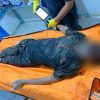 Misteri Mayat Mengambang di Sungai Kapuas: Polisi Lakukan Penyelidikan Mendalam