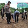 Kolaborasi Forkopimda Sanggau Wujudkan Ketahanan Pangan Lewat Panen Raya dan Penanaman Jagung Serentak di Parindu