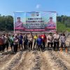 Perkuat Swasembada Pangan, Polsek Toba Tanam Jagung di Lahan Demplot Ketiga