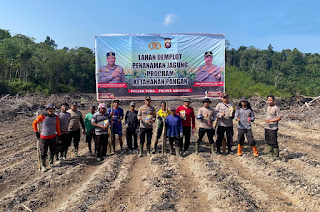 Perkuat Swasembada Pangan, Polsek Toba Tanam Jagung di Lahan Demplot Ketiga