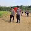 Wakapolres Sanggau Apresiasi Keberhasilan Demplot Jagung Polsek Tayan Hilir: “Ini Bukti Komitmen Kita terhadap Ketahanan Pangan“
