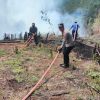 Lahan Gambut Terbakar di Kapuas, Petugas Gabungan Kerahkan 5 Unit Pemadam untuk Padamkan Api