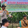 Polsek Mukok Gagas Demplot Jagung Hibrida, Jadi Contoh Nyata Dukung Swasembada Pangan Nasional