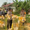 Pamatwil Polda Kalbar Tinjau Lahan Jagung Demplot di Tayan Hulu