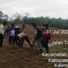 Polsek Tayan Hulu Tanam Jagung Demplot 3, Dorong Kemandirian Pangan Nasional dari Perbatasan