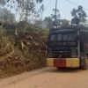 Kebun Karet dan Sawit Terbakar di Sanggau, Tim Gabungan Butuh Waktu Panjang Padamkan Api