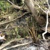 Polsek Meliau Verifikasi 13 Titik Hotspot di Kawasan Rawan Terbakar