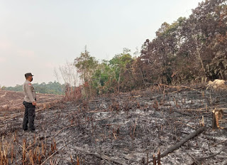 Lakukan Ground Check Hotspot Karhutla, Personil Polsek Noyan Pastikan Api Padam dan Cegah Meluas