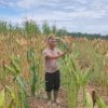 Polsek Tayan Hulu Intensif Awasi Tiga Lahan Demplot, Dorong Pemanfaatan Lahan Produktif untuk Ketahanan Pangan