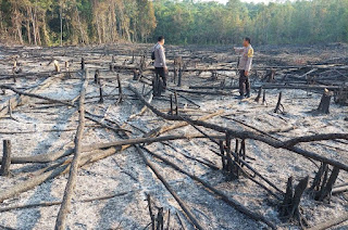 Polsek Noyan Lakukan Ground Check Hotspot Karhutla, Pastikan Api Padam dan Sosialisasi Aturan Lahan