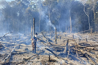 Lakukan Ground Check Hotspot Karhutla, Polsek Tayan Hulu Pastikan Api Sudah Padam