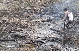 Polsek Toba Lakukan Verifikasi Tiga Titik Hotspot, Api Dipastikan Padam