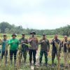 Panen Jagung Hibrida Demplot II, Polsek Mukok Dorong Ketahanan Pangan Bersama Petani