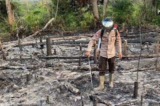Polsek Toba Verifikasi Tujuh Titik Hotspot, Api Sudah Padam di Lapangan