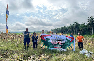 Panen Jagung Kuartal III Polsek Kembayan Hasilkan 820 Kg, Kapolsek Tegaskan Komitmen Dukung Ketahanan Pangan