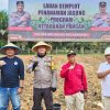 Lahan 1 Hektare Jadi Demplot Ke-4, Polsek Meliau Dorong Produktivitas Jagung Hibrida