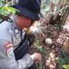 Tengkorak Manusia Ditemukan di Lahan PT Antam, Diduga Korban Bunuh Diri
