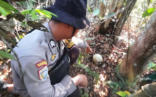 Tengkorak Manusia Ditemukan di Lahan PT Antam, Diduga Korban Bunuh Diri Tengkorak Manusia Ditemukan di Lahan PT Antam, Diduga Korban Bunuh Diri