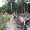 Polisi Verifikasi 9 Titik Hotspot di Kecamatan Toba, Api Dipastikan Padam