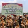 Dari Sanggau untuk Indonesia: Panen Raya Jagung Serentak, Bupati dan Kapolda Kalbar Tegaskan Dukungan Pangan Nasional