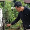 Kecelakaan Tunggal di Batang Tarang, Minibus Tabrak Rumah Akibat Hindari Hewan