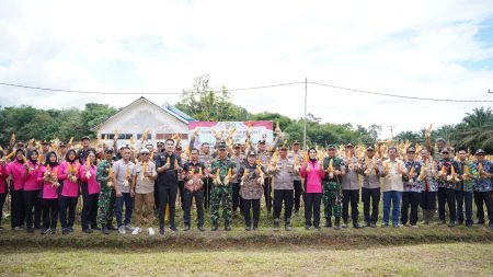 Wakil Bupati Sanggau Susana Herpena Panen Raya Jagung di Mukok