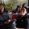 Wakil Bupati Sanggau Buka Program Pekarangan Pangan Bergizi