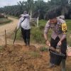Pemdes Kelompu Olah Lahan Jagung 1 Hektare Dukung Program Mandatori Bupati Sanggau