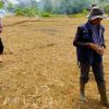 Wujud Nyata Polri Dukung Ekonomi Masyarakat, Polsek Noyan Garap Lahan Jagung Demplot IV