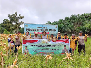 Polsek Bonti Panen Jagung Hibrida Demplot III, Wujud Nyata Dukungan Polri terhadap Swasembada Pangan 2025