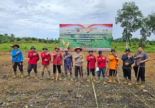 Tanam Jagung Bersama Warga, Polsek Meliau Mantapkan Langkah Dukung Program Pangan Nasional Tanam Jagung Bersama Warga, Polsek Meliau Mantapkan Langkah Dukung Program Pangan Nasional