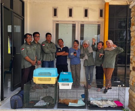 Steril Massal Puskeswan Tayan Hulu – DISBUNNAK