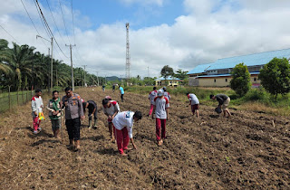 Dukung Asta Cita, Polsek Mukok Turun Langsung Tanam Jagung Bersama Warga Dukung Asta Cita, Polsek Mukok Turun Langsung Tanam Jagung Bersama Warga