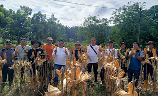 Ketahanan Pangan Nasional, Polsek Mukok Optimalkan Lahan Pertanian di Semuntai Ketahanan Pangan Nasional, Polsek Mukok Optimalkan Lahan Pertanian di Semuntai