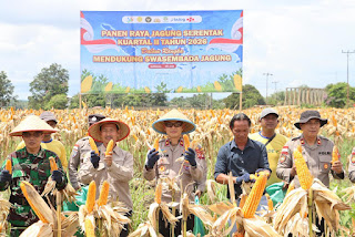 Panen Jagung Serentak Kuartal II 2026, Polres Sanggau Perkuat Swasembada Pangan Panen Jagung Serentak Kuartal II 2026, Polres Sanggau Perkuat Swasembada Pangan