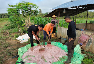 Dukung Ketahanan Pangan, Polsek Beduai Lakukan Pemupukan Jagung di Lahan Produktif Dukung Ketahanan Pangan, Polsek Beduai Lakukan Pemupukan Jagung di Lahan Produktif
