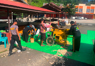 Polsek Sekayam Lakukan Pemipilan Jagung Hibrida Hasil Demplot 2 Hektare, Wujud Nyata Dukungan Program Ketahanan Pangan Nasional Polsek Sekayam Lakukan Pemipilan Jagung Hibrida Hasil Demplot 2 Hektare, Wujud Nyata Dukungan Program Ketahanan Pangan Nasional