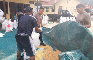 Jagung Berkualitas Hasil Binaan Polsek Parindu Resmi Masuk Gudang Bulog Sanggau Jagung Berkualitas Hasil Binaan Polsek Parindu Resmi Masuk Gudang Bulog Sanggau