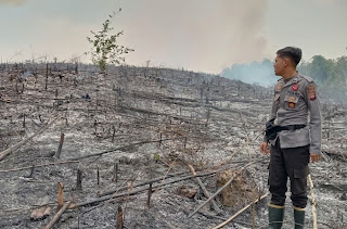 Respons Cepat Polsek Kapuas Verifikasi Titik Hotspot, Pastikan Api Padam dan Cegah Karhutla Meluas Respons Cepat Polsek Kapuas Verifikasi Titik Hotspot, Pastikan Api Padam dan Cegah Karhutla Meluas